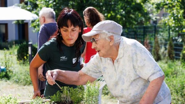 Pflegeacker – hier wächst mehr als Gemüse