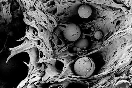 Verschleiß und Verschleißschutz an Kunststoff-Verarbeitungsmaschinen