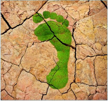 SKZ bietet flexible Erstellung von CO2-Bilanzen dank Automatisierung an