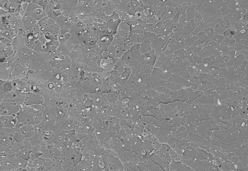 Innovatives Verfahren zur Beschleunigung des PLA-Abbaus: Neues Projekt zur Entwicklung industriell anwendbarer, umweltfreundlicher Kunststofflösungen