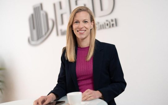 Hausschwamm in Nürnberg erkennen und bekämpfen