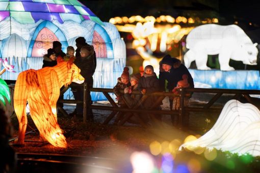 In Rekordzeit zum Lichtspektakel: Wunderlight Kalkar nimmt  Gestalt an