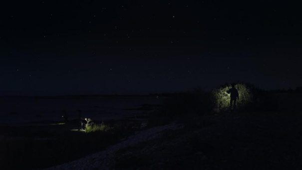 Filmscreening – Fade Into You