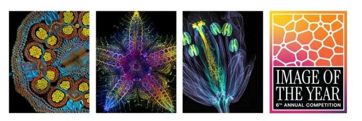 EVIDENT kündigt den sechsten Wettbewerb „Bild des Jahres“ an