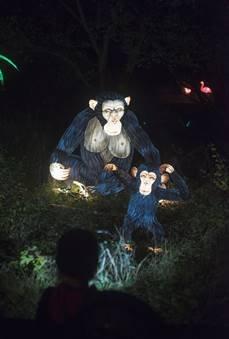 Wenn der Zoo erstrahlt