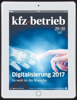 Schaden-Diagnose per Internet – kann das gutgehen?