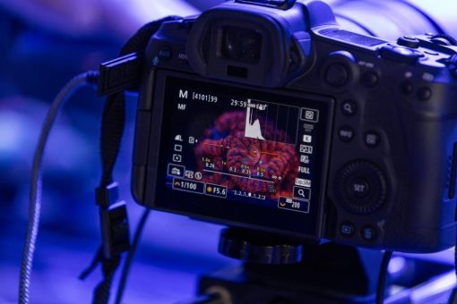 Canon unterstützt Forschungsprojekt zur Regeneration von Korallenriffen auf den Seychellen