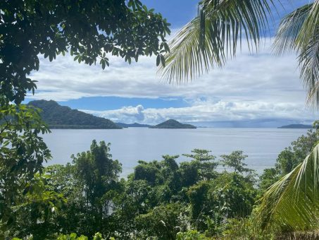 Sankamap Metals bestätigt markante Ring-Anomalie auf Kupfer- und Goldprojekt