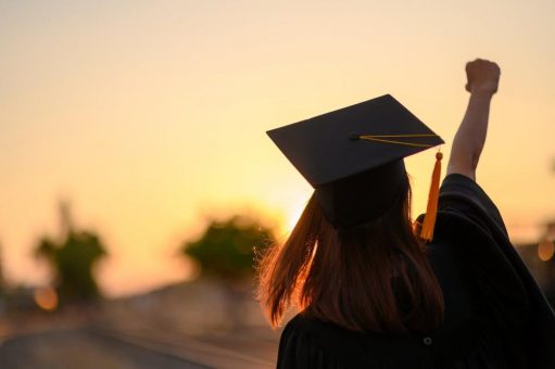 Internationale Fernstudiengänge im zfh-Verbund: Starke Netzwerke für das nächste Karriereziel