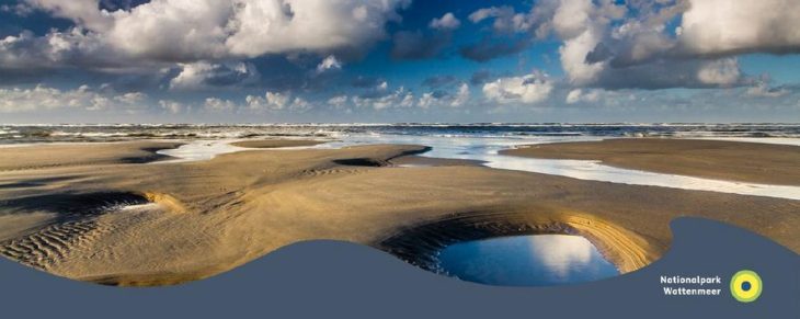 Wattenmeer im Wandel