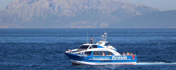 Mit Reisen Gutes tun: travel-to-nature startet Patenschaftsprogramm für den marinen Artenschutz