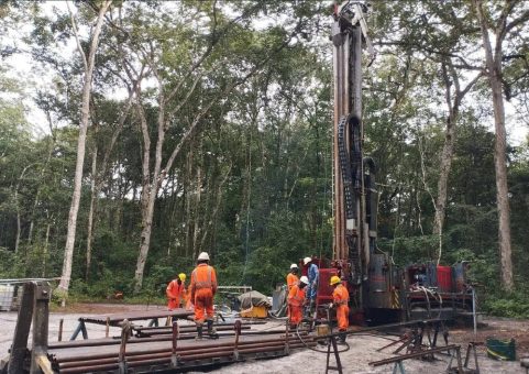 Kalidünger als Schlüsselfaktor im Kampf gegen Hunger