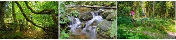 Familienzeit in Bad Herrenalb