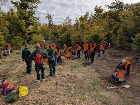 Devoteam Deutschland pflanzt 500 Bäume im Rhein-Main-Gebiet – gelebte Nachhaltigkeit statt bloßer Worte