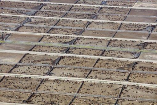 Industrielle Viehzucht gefährdet Klimaziele, wie bedeutsame internationale Studie zeigt