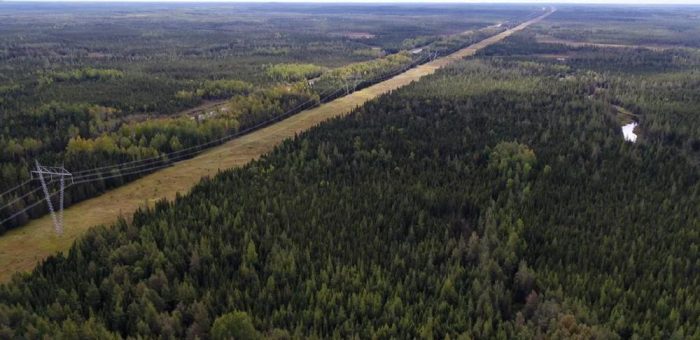 Batterierohstoffe – unverzichtbar