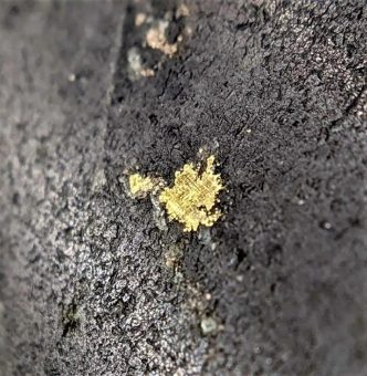 Gold Terra: Harquail & Sprott investieren – Fokus auf Con Mine Option