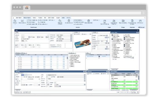 Orgasoft.NET in der Cloud: Komplette ERP-Funktionalität über das Internet