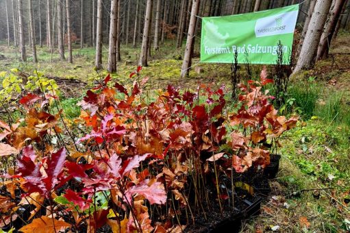 ARJES Save Nature – Wurzeln für die Zukunft
