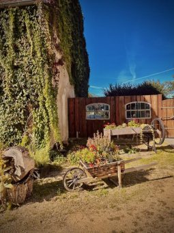 „Es macht Sinn, alte Rezepte zu bewahren und mit modernen Ideen zu verbinden“