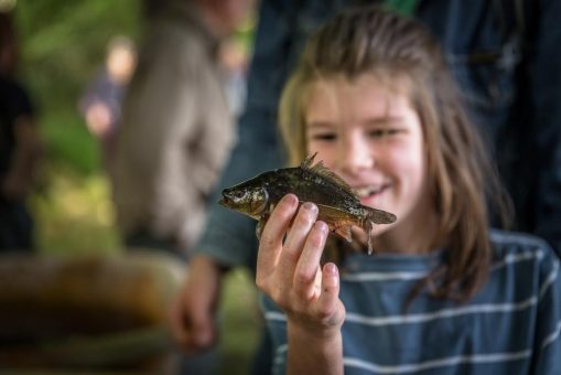 Vom Klassenzimmer an den Teich: Wie junge Lausitzer den Fisch neu entdecken
