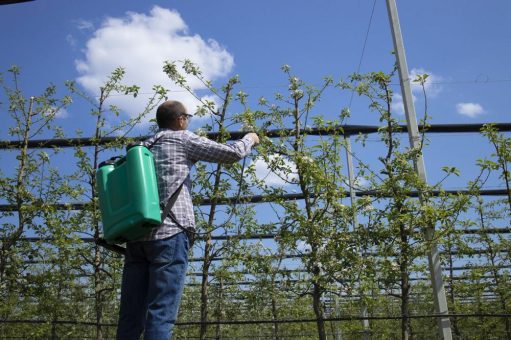 Krank durch Arbeit in der Landwirtschaft – Glarus Therapie erzielt beeindruckende Ergebnisse in Diagnose und Behandlung