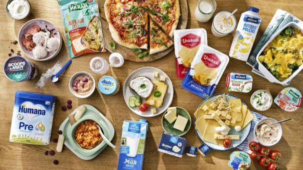 Mit voller Kraft zur Transformation: apsolut und DMK gestalten den Einkauf neu mit SAP Ariba