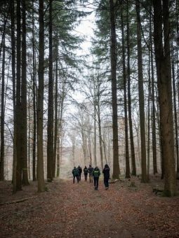 4.000 neue Bäume für den Hunsrück