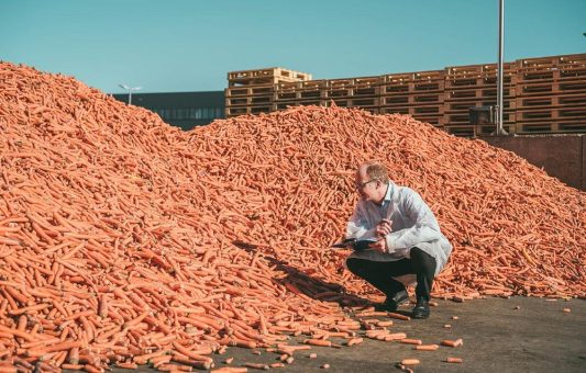 Unabhängige Prüfung sorgt für Glaubwürdigkeit von Nachhaltigkeitsstandards