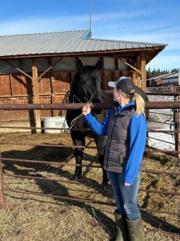 Auf einer kanadischen Ranch den Alltag erleben: Mit einem Stipendium von Experiment einen Ranchstay in Kanada verwirklichen