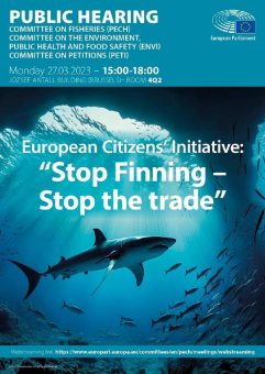 Offener Brief an Europa: Stopp den Handel mit losen Haiflossen