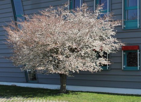 25 Jahre WITTENSTEIN-Weltgarten – Vielfalt erleben, Wandel begreifen