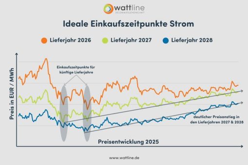 Energie strategisch beschafft und Kosten gesenkt: Praxisbeispiel einer Einkaufsgemeinschaft aus dem Jahr 2025