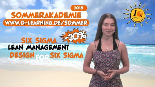 Die Q-LEARNING Sommerakademie 2018 startet