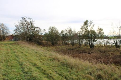 Ziel: Teich ökologisch aufwerten