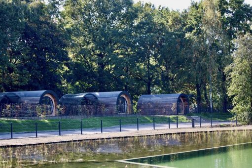 Urlaub zwischen Wald, Weite und Wohlgefühl