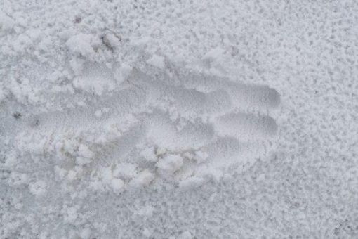 Rockstone News – Wenn Quarzsand strategisch wird: Von Natur aus ultrarein, durch Design transformativ