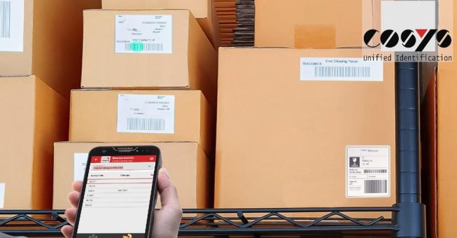 Lagerverwaltung in KMU: Warum strukturierte Prozesse über den Erfolg entscheiden