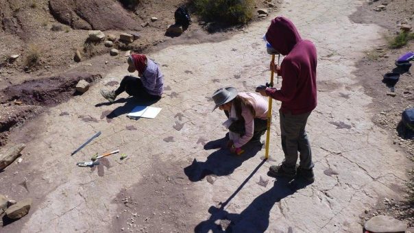 Adventistische Wissenschaftler leiten bahnbrechende Studie über die weltweit größte Dinosaurier-Fußabdruckfundstätte