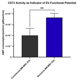 NurExone plant die klinische Herstellung von ExoPTEN im kleinen Maßstab zur Vorbereitung zukünftiger First-in-Human-Anwendungswege