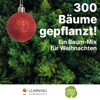 Q-LEARNING pflanzt 300 Bäume zu Weihnachten