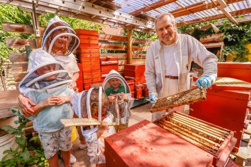 Trotz Homeoffice: Fleißige BIG-Bienen sammelten 45 Kilogramm Honig