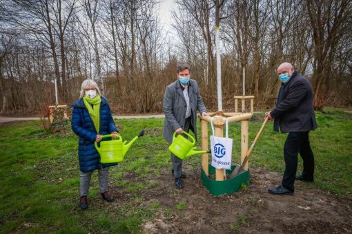 Fusion stärkt Nachhaltigkeit: Die BIG spendet Bäume für Dortmunder Tremoniapark