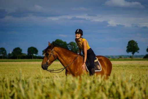 Tierisch fit: Auf dem Pferderücken zum Muskelkater