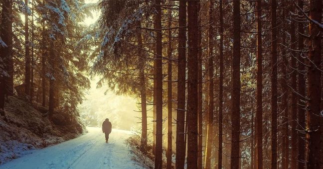Afrikanische Schweinepest steht vor Aachen: Für Menschen besteht keine Ansteckungsgefahr