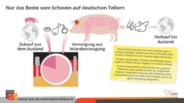 Selbstversorgungsgrad bei Schweinefleisch – differenzierte Betrachtung nach Teilstücken zeigt Importbedarf auf