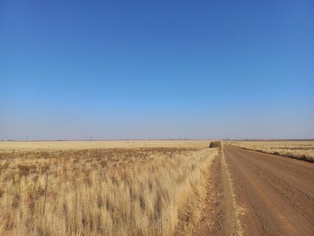 Südafrikanische Solarprojekte in Ausschreibung erfolgreich