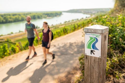 Urlaub 2026 in der Weinregion Rheinhessen: Natur, Genuss und Kultur im Fokus