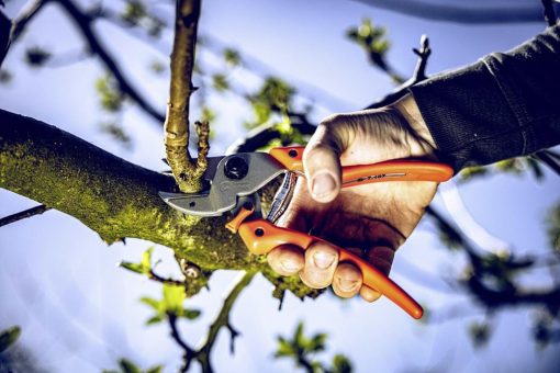 Gartenscheren mit Amboss-Technik neu gedacht