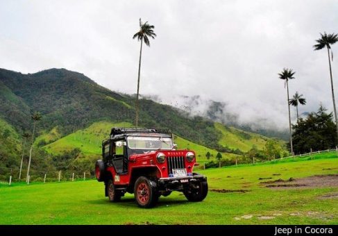 Neue Erlebnisreisen nach Kolumbien: Literarische Magie trifft wissenschaftliche Entdeckungsreise